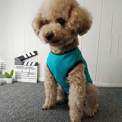 Kukaster Pet Dog Recovery Suit Post Surgery Shirt – Blue X-Small for Puppies & Small Pets