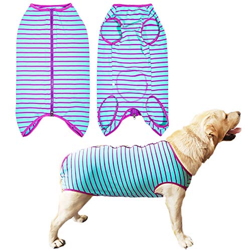 vimg::17