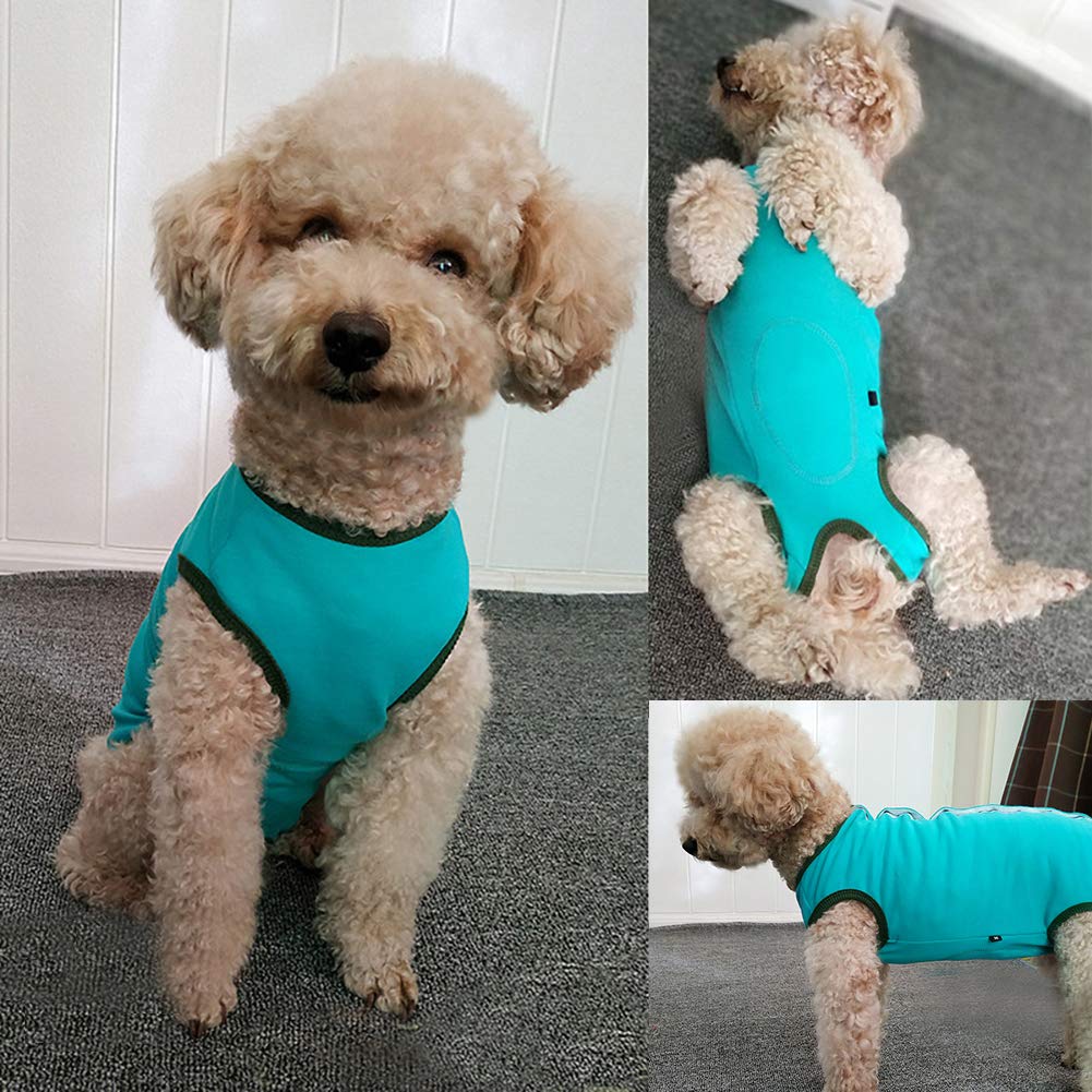 Kukaster Pet Dog Recovery Suit Post Surgery Shirt – Blue X-Small for Puppies & Small Pets