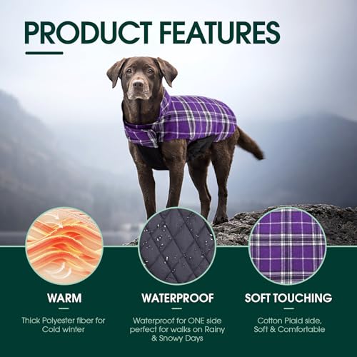 Kuoser Purple XS Dog Coat – Waterproof Reversible Winter Jacket for Small Dogs
