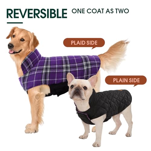Kuoser Purple XS Dog Coat – Waterproof Reversible Winter Jacket for Small Dogs