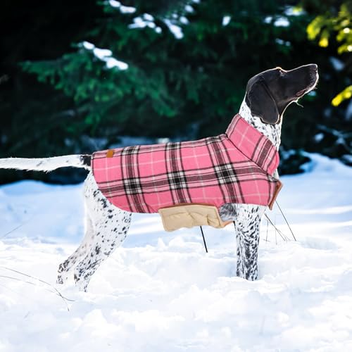 Kuoser Purple XS Dog Coat – Waterproof Reversible Winter Jacket for Small Dogs