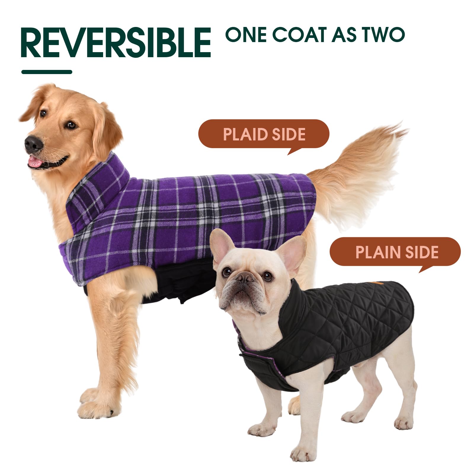 Kuoser Purple XS Dog Coat – Waterproof Reversible Winter Jacket for Small Dogs