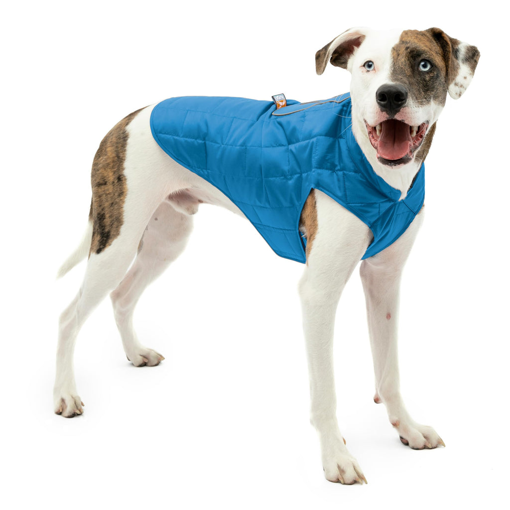 Kurgo Loft Dog Jacket Medium Coastal Blue - Reversible Insulated Coat with 2-Way Zipper and Reflective Trim