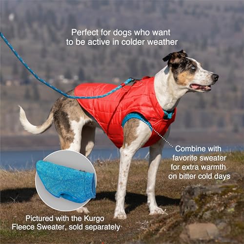 Kurgo Loft Dog Jacket Medium Coastal Blue - Reversible Insulated Coat with 2-Way Zipper and Reflective Trim