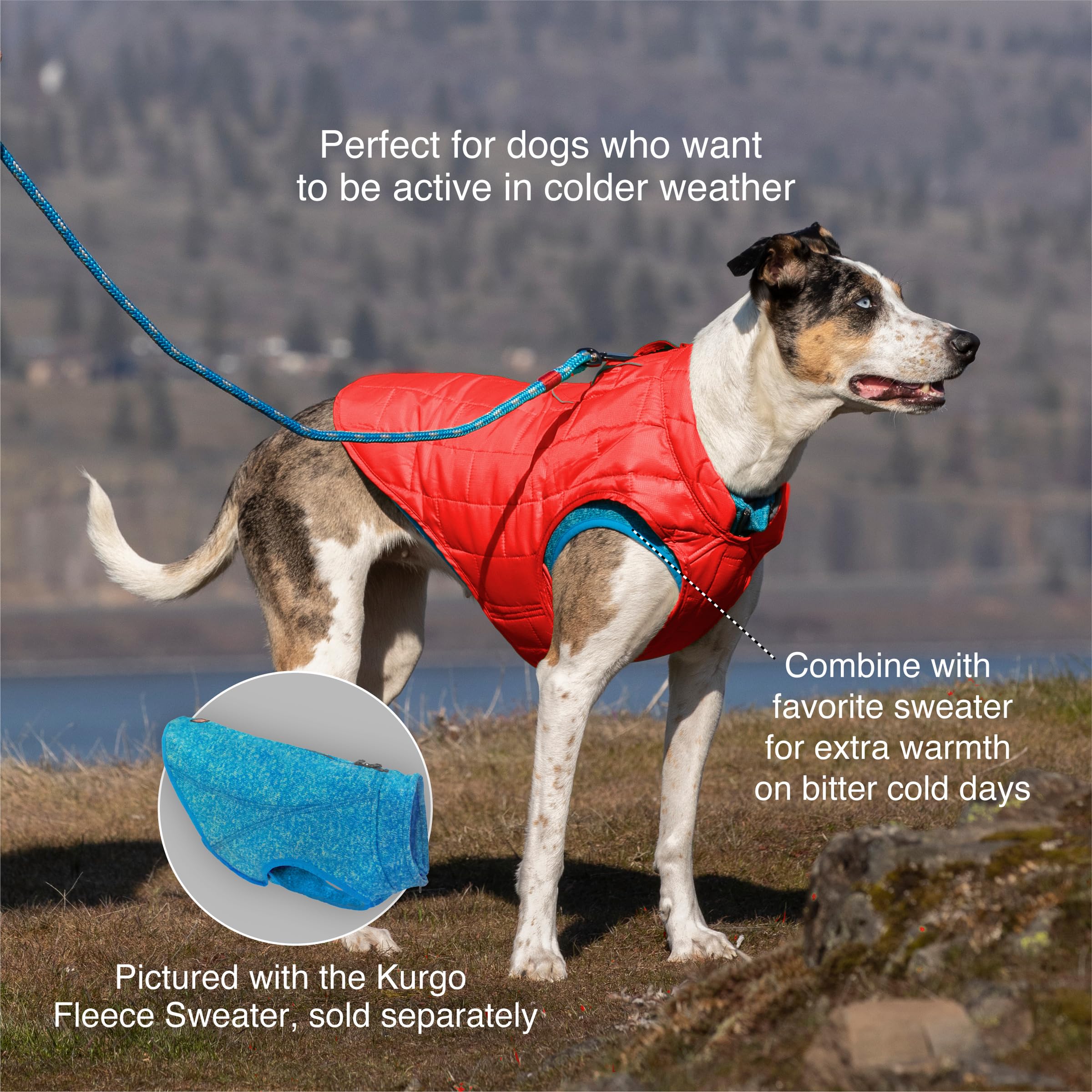 Kurgo Loft Dog Jacket Medium Coastal Blue - Reversible Insulated Coat with 2-Way Zipper and Reflective Trim