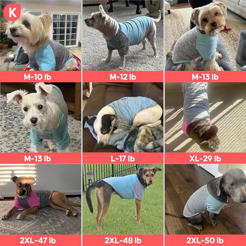 KYEESE 2 Pack Dog Shirts with Sleeves - Lightweight Sun Protection Quick Dry T-Shirts for Small Dogs, Blue & Grey, Medium