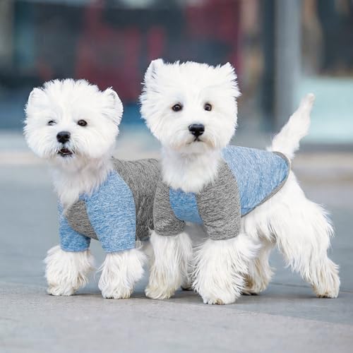 KYEESE 2 Pack Dog Shirts with Sleeves - Lightweight Sun Protection Quick Dry T-Shirts for Small Dogs, Blue & Grey, Medium
