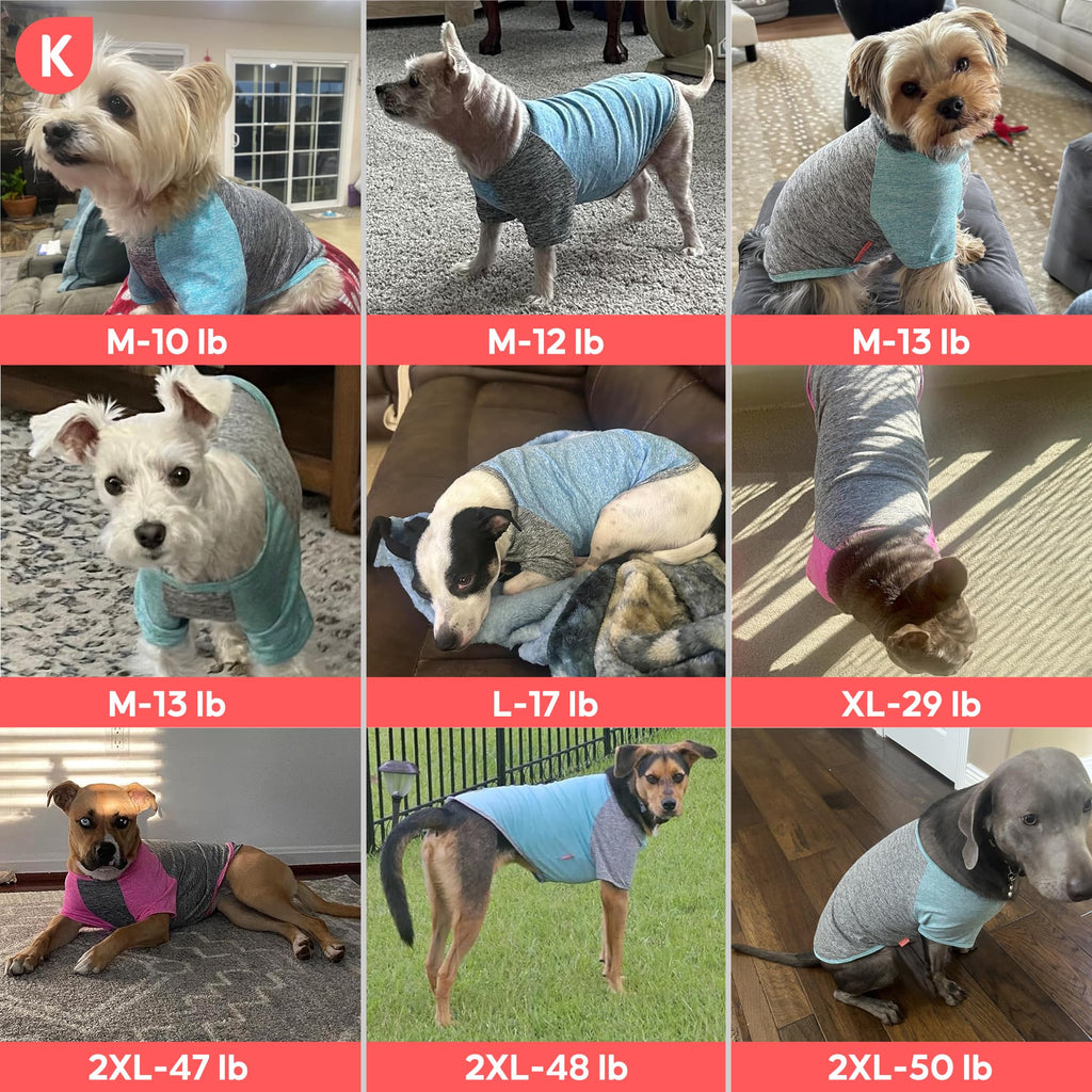 KYEESE 2 Pack Dog Shirts with Sleeves - Lightweight Sun Protection Quick Dry T-Shirts for Small Dogs, Blue & Grey, Medium
