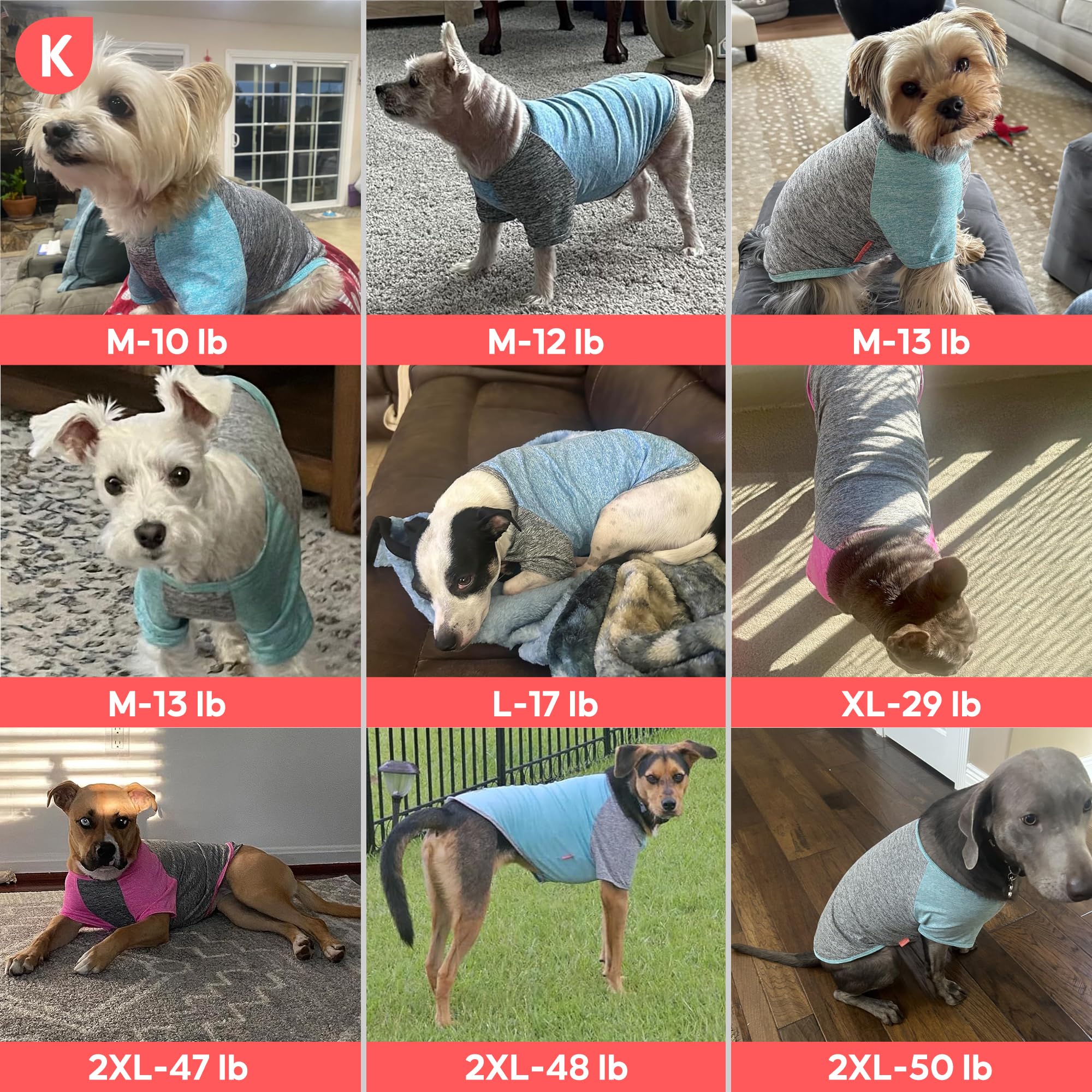 KYEESE 2 Pack Dog Shirts with Sleeves - Lightweight Sun Protection Quick Dry T-Shirts for Small Dogs, Blue & Grey, Medium