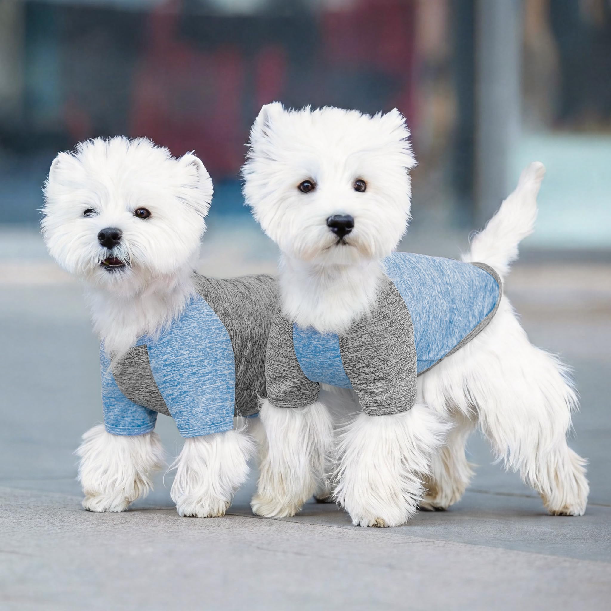 KYEESE 2 Pack Dog Shirts with Sleeves - Lightweight Sun Protection Quick Dry T-Shirts for Small Dogs, Blue & Grey, Medium