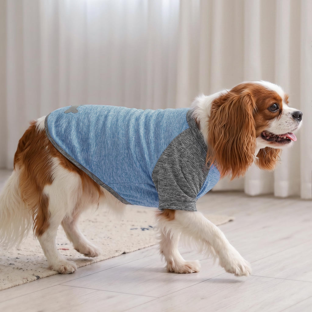 KYEESE 2 Pack Dog Shirts with Sleeves - Lightweight Sun Protection Quick Dry T-Shirts for Small Dogs, Blue & Grey, Medium