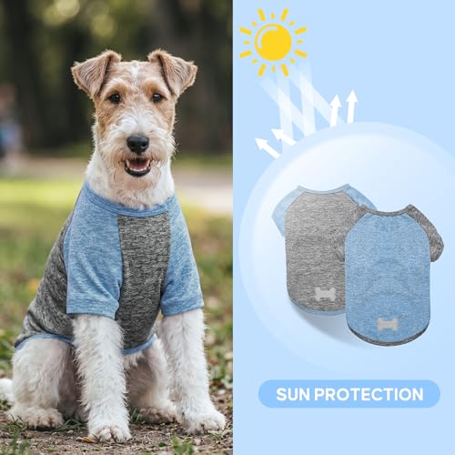 KYEESE 2 Pack Dog Shirts with Sleeves - Lightweight Sun Protection Quick Dry T-Shirts for Small Dogs, Blue & Grey, Medium