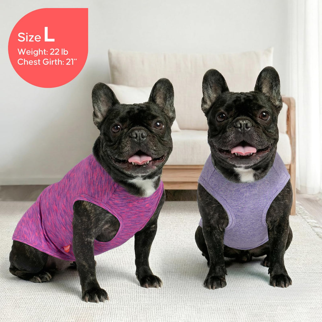 KYEESE 2-Pack Sleeveless Dog Tees: Quick-Dry, Sun-Protective with Reflective Label - Medium, Purple/Pink for Small Dogs