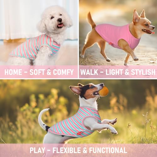 KYEESE 2-Pack Striped Dog Shirt – Soft Cotton Tank Top for Small Dogs (Pink, Medium)