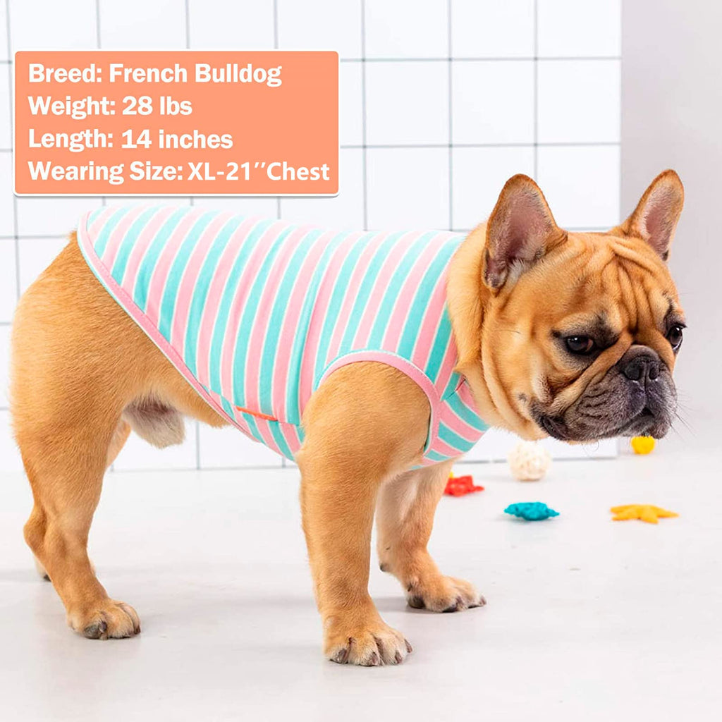 KYEESE 2-Pack Striped Dog Shirt – Soft Cotton Tank Top for Small Dogs (Pink, Medium)