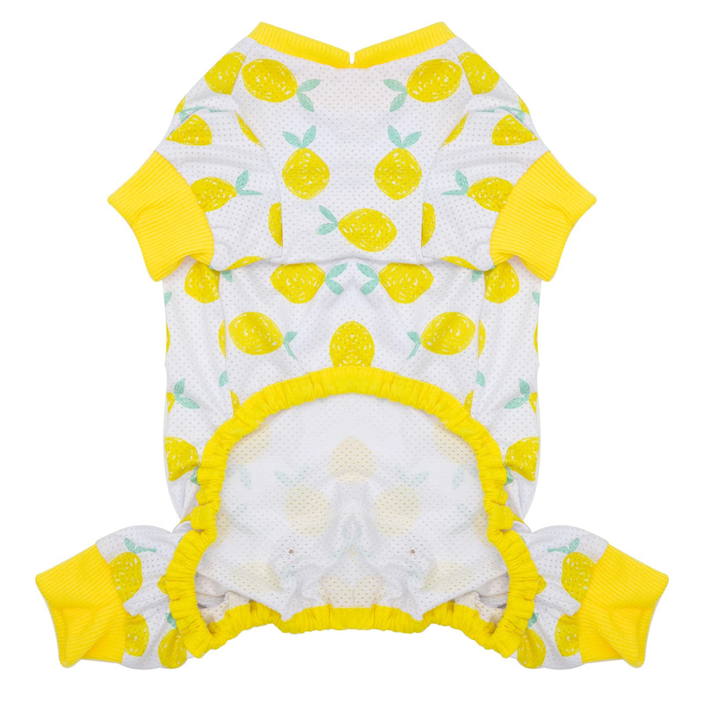 KYEESE Breathable Mesh Dog Pajamas for Small Dogs - Lightweight Summer Sun Protection Pajama Onesie (Lemon, XS)