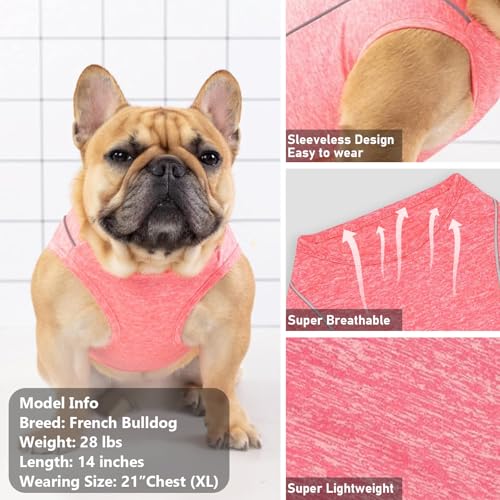 KYEESE Reflective Dog Shirt - Lightweight Sun Protection Tank Top for Small Dogs, Coral Red, Large (13-19 lbs)