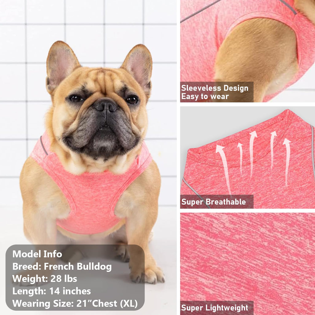 KYEESE Reflective Dog Shirt - Lightweight Sun Protection Tank Top for Small Dogs, Coral Red, Large (13-19 lbs)