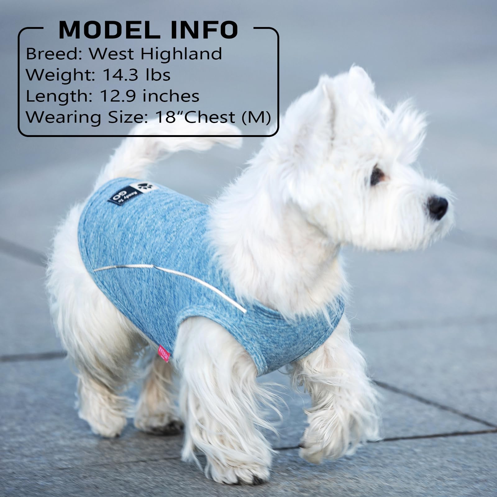 KYEESE Reflective Dog Shirt - Lightweight Sun Protection Tank Top for Small Dogs, Coral Red, Large (13-19 lbs)