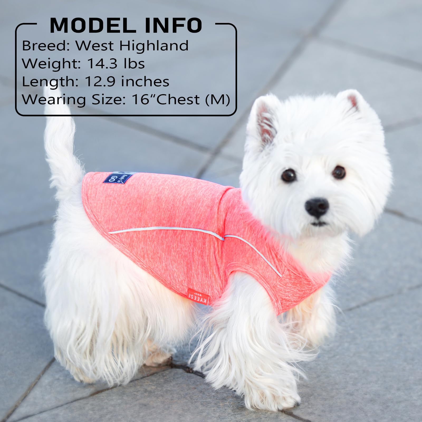 KYEESE Reflective Dog Shirt - Lightweight Sun Protection Tank Top for Small Dogs, Coral Red, Large (13-19 lbs)