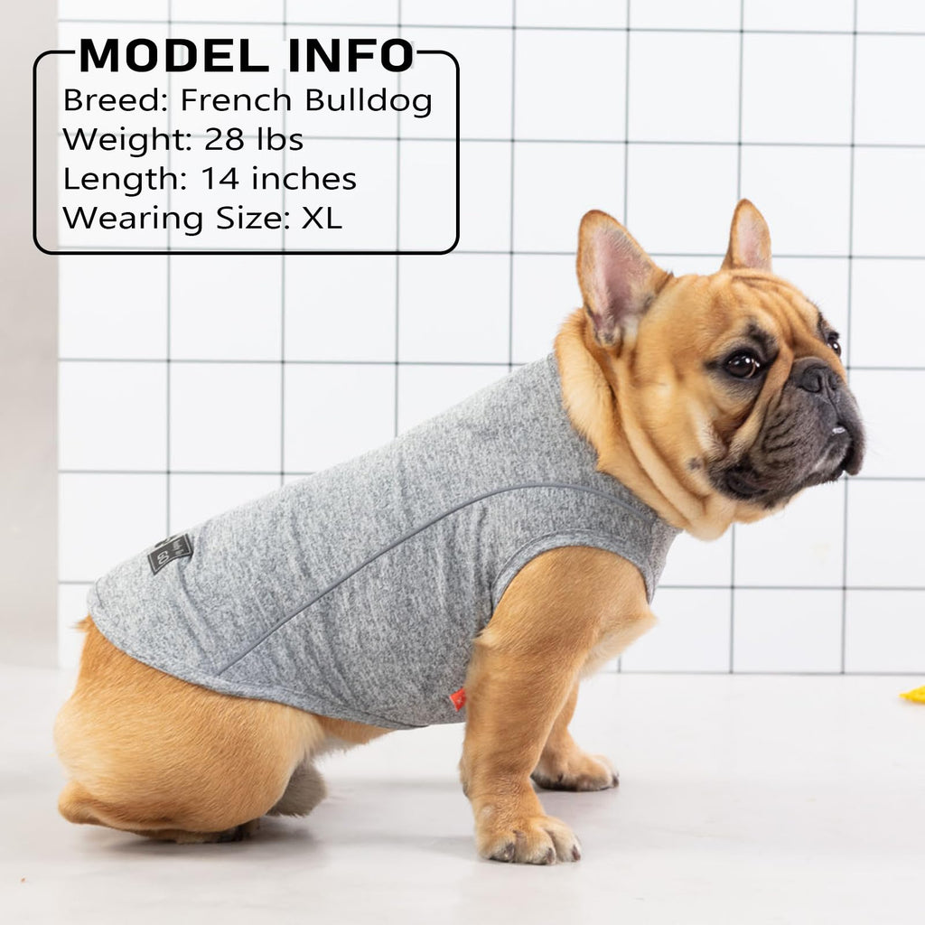 KYEESE Reflective Dog Shirt - Lightweight Sun Protection Tank Top for Small Dogs, Coral Red, Large (13-19 lbs)