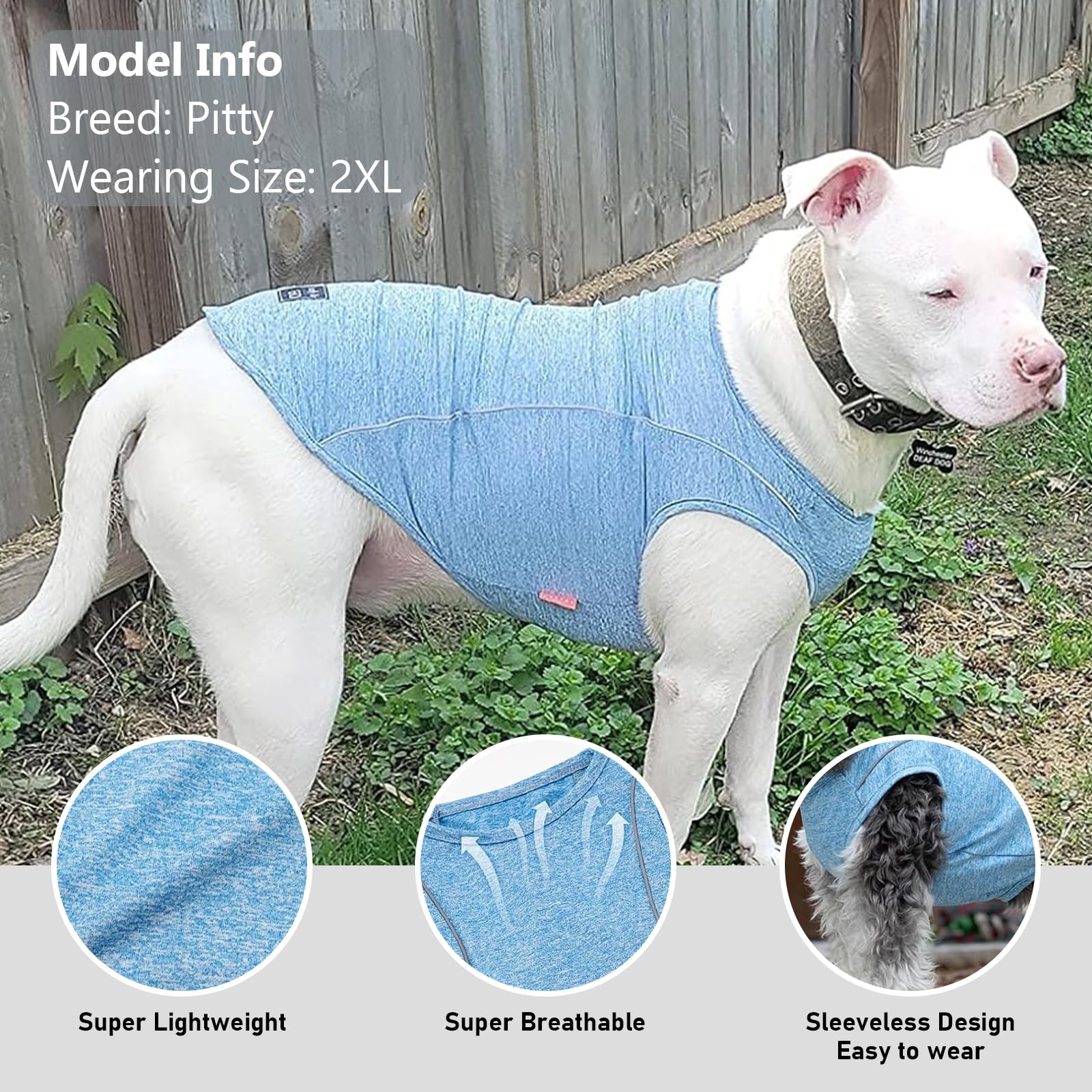 KYEESE Reflective Dog Shirt – Lightweight Sun Protection Tee for Medium & Large Dogs, Blue, 2XL