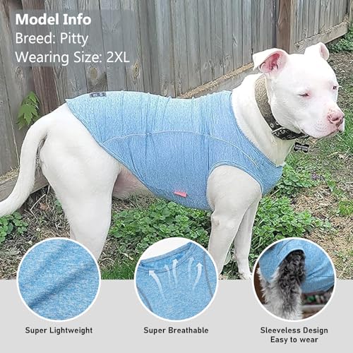 KYEESE Reflective Dog Shirt – Lightweight Sun Protection Tee for Medium & Large Dogs, Blue, 2XL