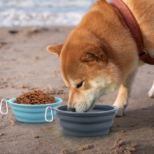 Kytely Collapsible Dog Bowls 2 Pack - X-Large 1500ml Portable Pet Food & Water Bowl for Travel, Hiking, Camping - Foldable Feeding Dish with Carabiner Clip for Dogs & Cats (Blue & Grey)