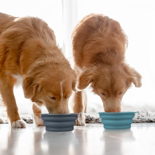 Kytely Collapsible Dog Bowls 2 Pack - X-Large 1500ml Portable Pet Food & Water Bowl for Travel, Hiking, Camping - Foldable Feeding Dish with Carabiner Clip for Dogs & Cats (Blue & Grey)