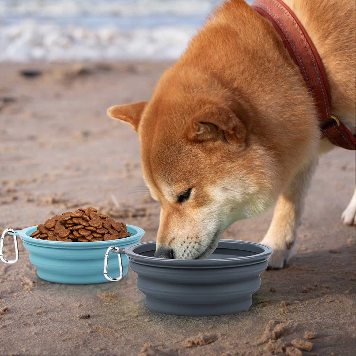 Kytely Collapsible Dog Bowls 2 Pack - X-Large 1500ml Portable Pet Food & Water Bowl for Travel, Hiking, Camping - Foldable Feeding Dish with Carabiner Clip for Dogs & Cats (Blue & Grey)