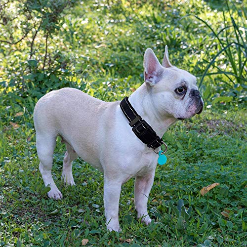 Ladoogo Reflective Dog Collar – Padded Neoprene, Adjustable Nylon, with Free 5ft Leash (Large, Black)