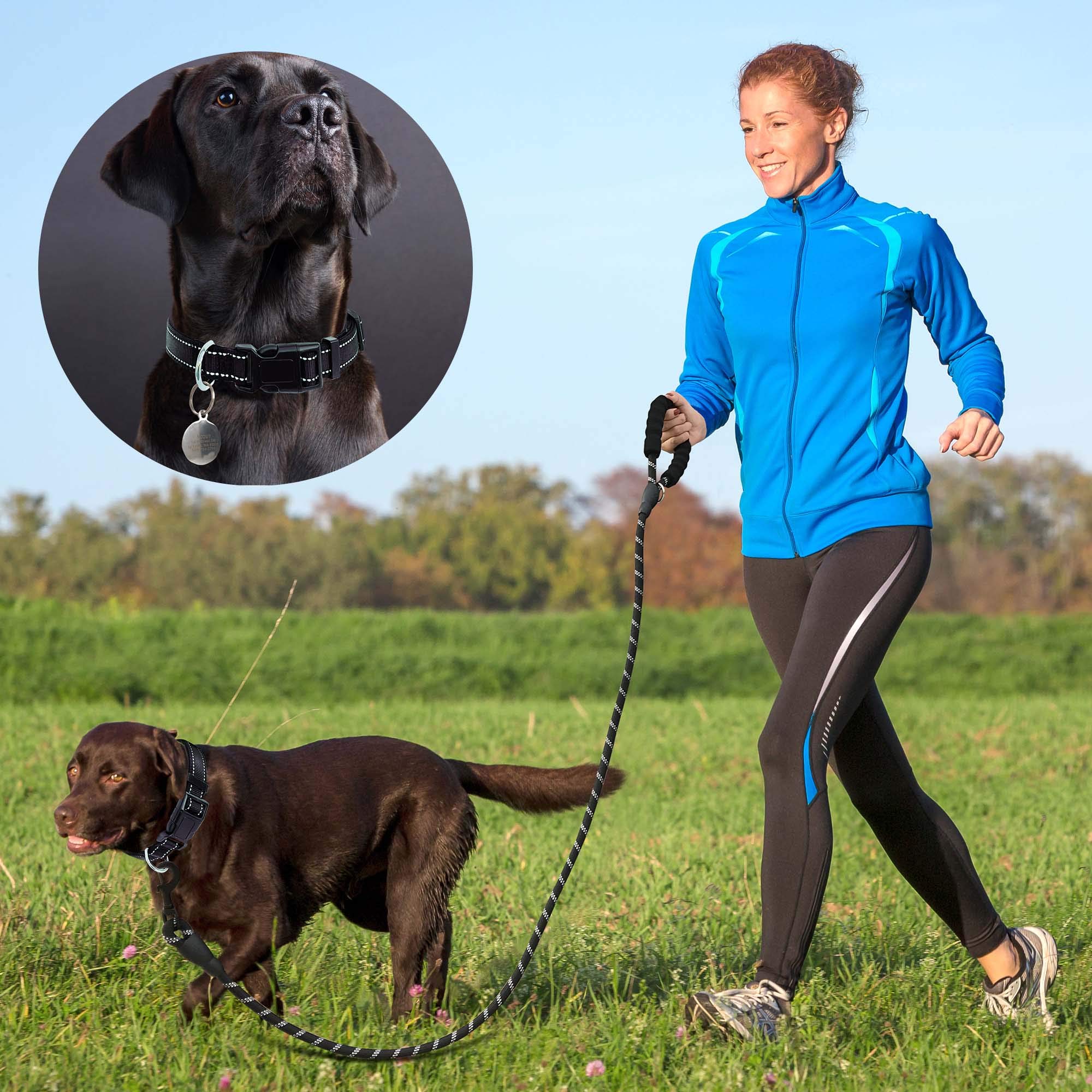 Ladoogo Reflective Dog Collar – Padded Neoprene, Adjustable Nylon, with Free 5ft Leash (Large, Black)