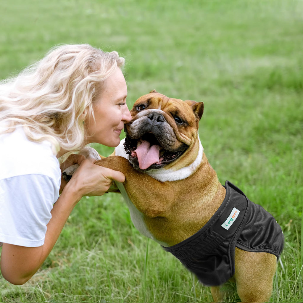 Langsprit Medium Female Dog Diapers No Tail Hole - Reusable Washable for French Bulldogs, Heat, Incontinence