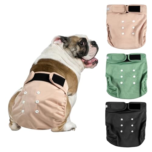 Langsprit Medium Female Dog Diapers No Tail Hole - Reusable Washable for French Bulldogs, Heat, Incontinence