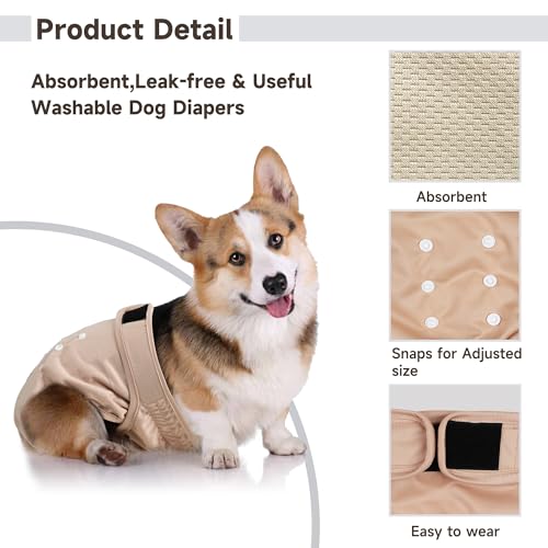 Langsprit Medium Female Dog Diapers No Tail Hole - Reusable Washable for French Bulldogs, Heat, Incontinence