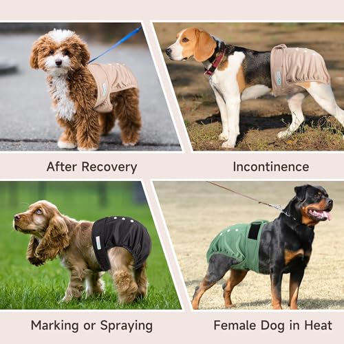 Langsprit Medium Female Dog Diapers No Tail Hole - Reusable Washable for French Bulldogs, Heat, Incontinence