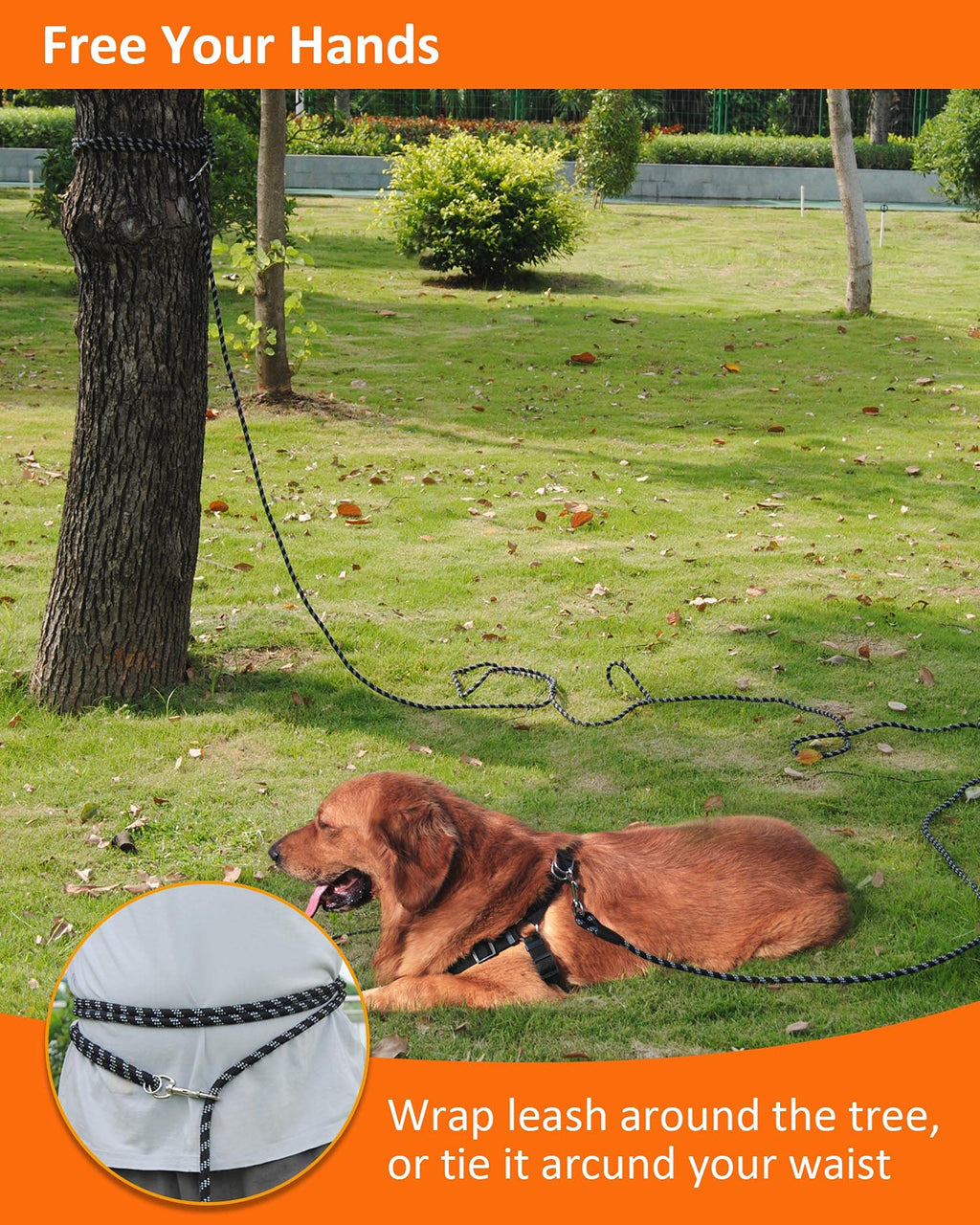 Lanwandeng Long Training Leash 10-100FT, Reflective Rope Check Cord, Heavy Duty for Large, Medium, Small Dogs