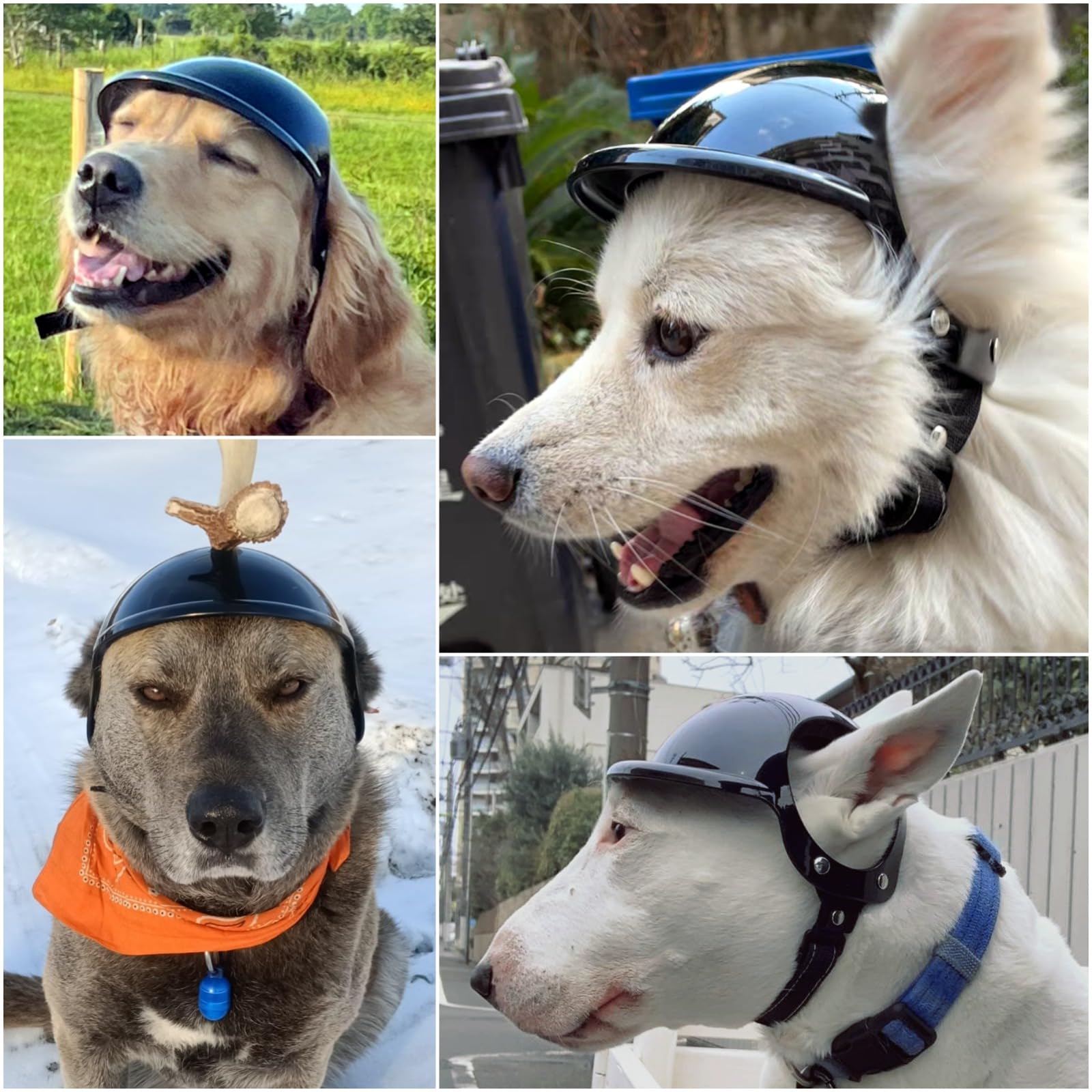 Large Dog Helmet with Ear Holes by NAMSAN – Adjustable Safety for Motorcycle, Bike & Outdoor Travel