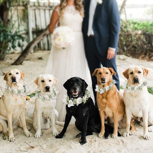 Large Dog Wedding Flower Collar & Pearl Beaded Leash Set – Elegant White Floral Attire for Pets