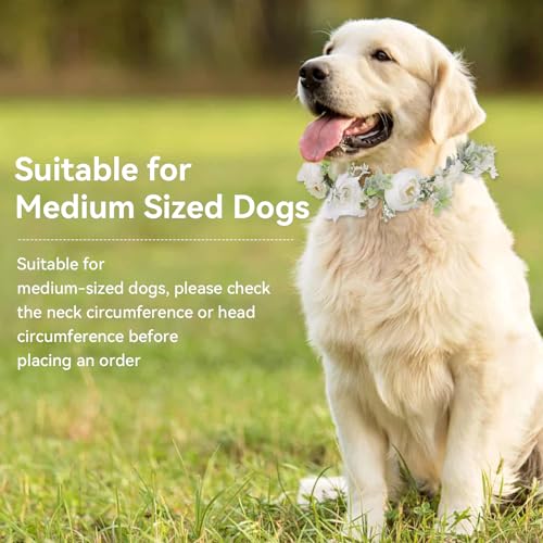 Large Dog Wedding Flower Collar & Pearl Beaded Leash Set – Elegant White Floral Attire for Pets