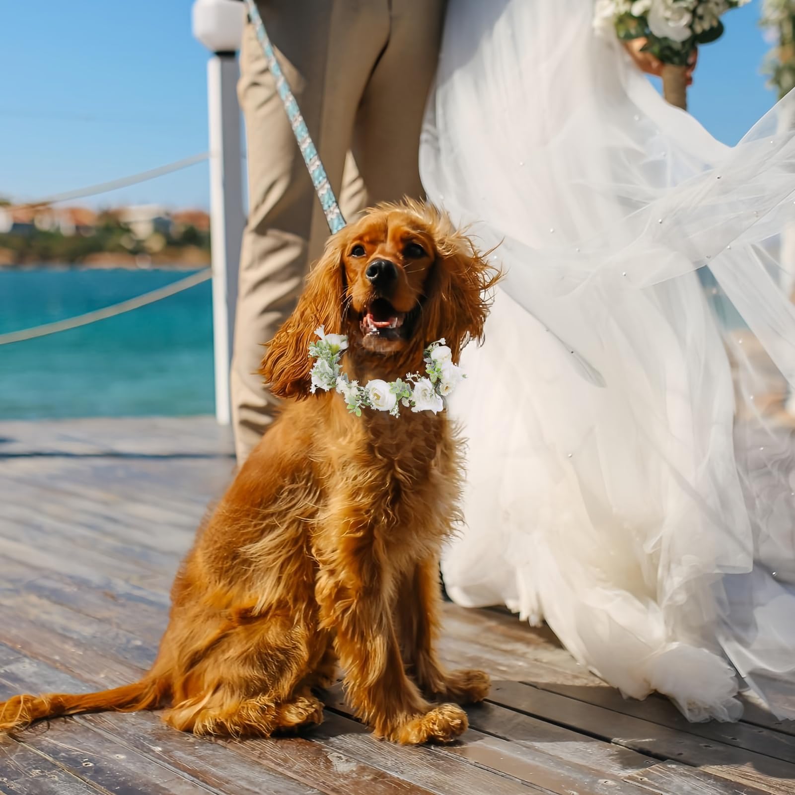 Large Dog Wedding Flower Collar & Pearl Beaded Leash Set – Elegant White Floral Attire for Pets