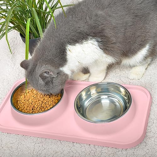 L.D.Dog Non-Spill Cat Bowls with Silicone Mat, Elevated Stainless Steel Pet Dishes for Cats and Small Dogs, Light Pink