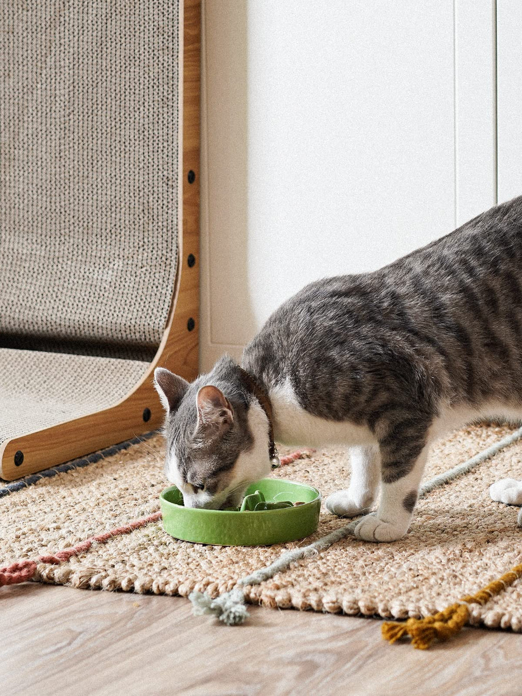 LE TAUCI PET Ceramic Slow Feeder Bowl – Green, 5.5 Inch, 0.5 Cup for Small Dogs & Cats