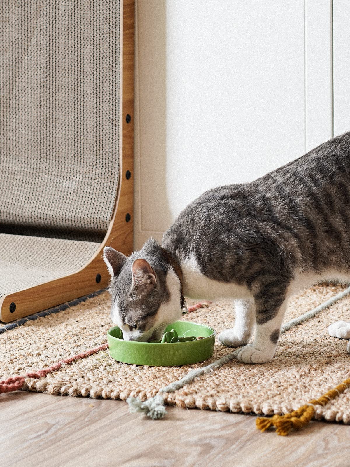 LE TAUCI PET Ceramic Slow Feeder Bowl – Green, 5.5 Inch, 0.5 Cup for Small Dogs & Cats