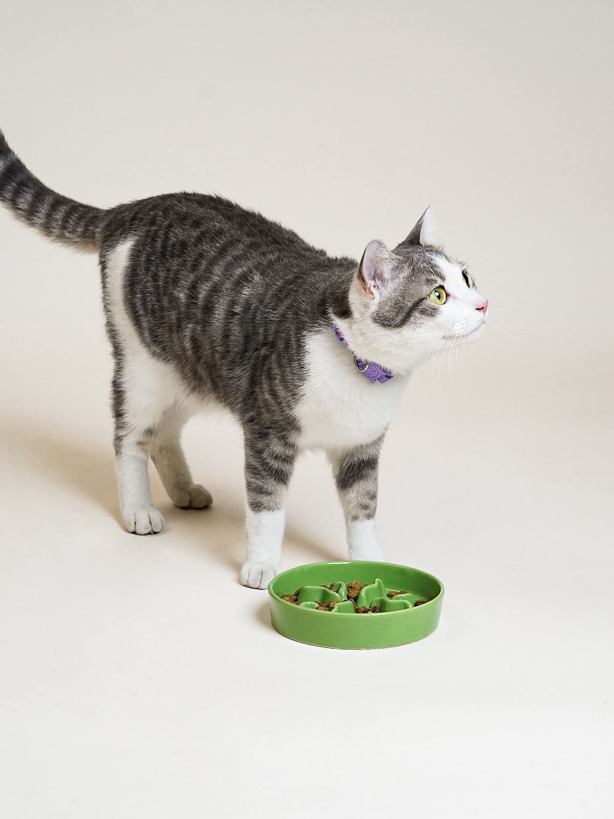 LE TAUCI PET Ceramic Slow Feeder Bowl – Green, 5.5 Inch, 0.5 Cup for Small Dogs & Cats