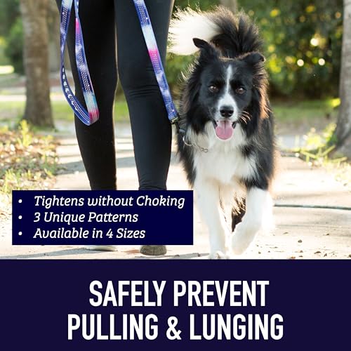 Leash Boss Blue Wave Martingale Dog Collar – Reflective Nylon No-Pull Training Collar for Small Dogs