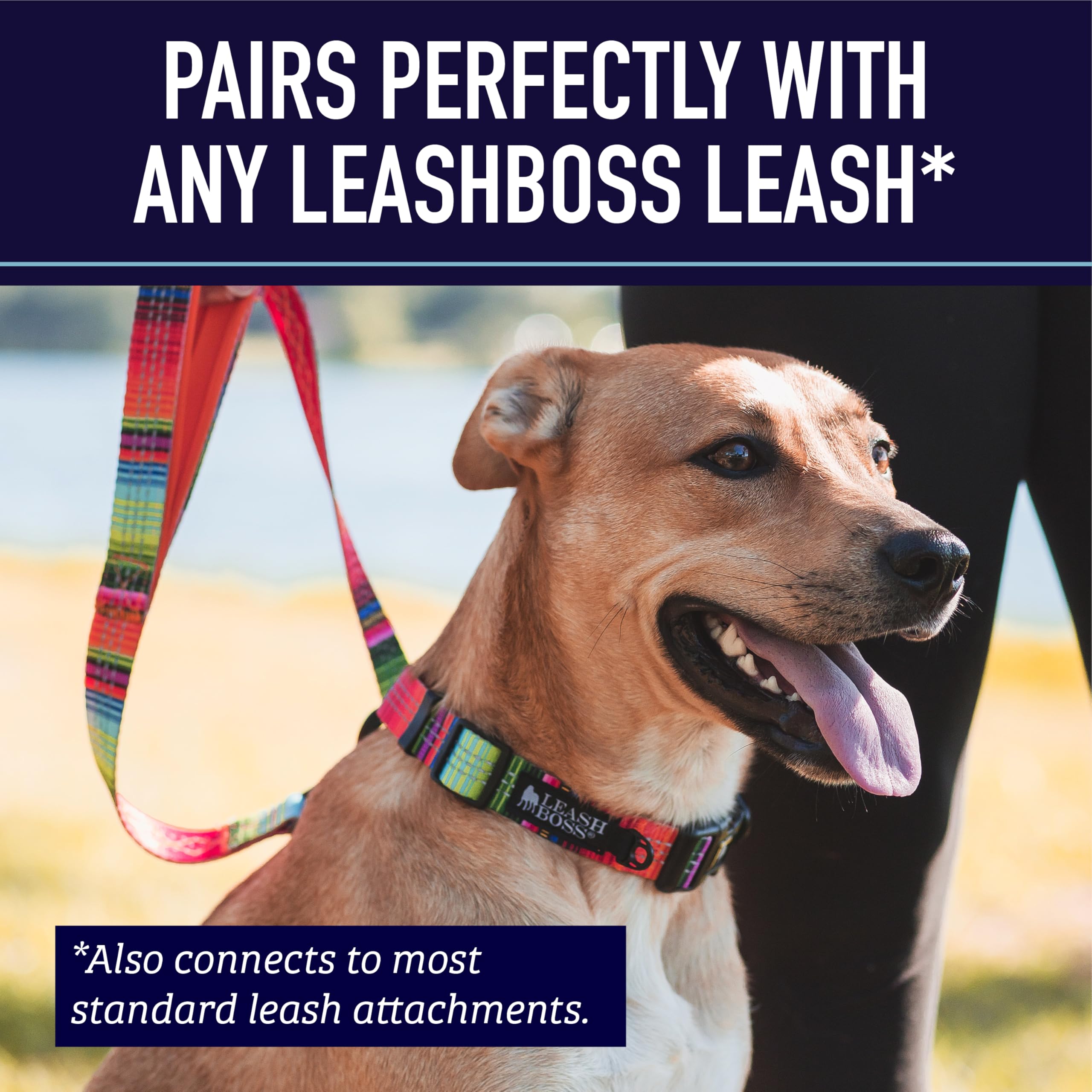 Leash Boss Blue Wave Martingale Dog Collar – Reflective Nylon No-Pull Training Collar for Small Dogs