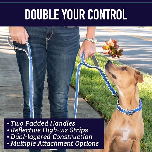 Leash Boss Double Handle 6ft Reflective Dog Leash with Padded Handle - Orange Blanket Pattern