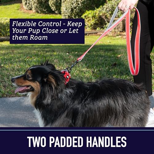 Leash Boss Double Handle 6ft Reflective Dog Leash with Padded Handle - Orange Blanket Pattern